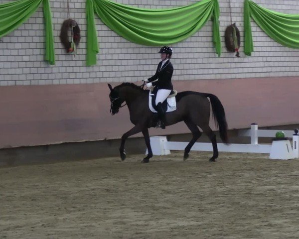 Reitturnier Hellefeld 2025