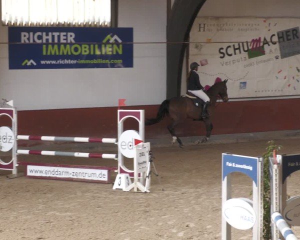 Reitturnier Viernheim 2025
