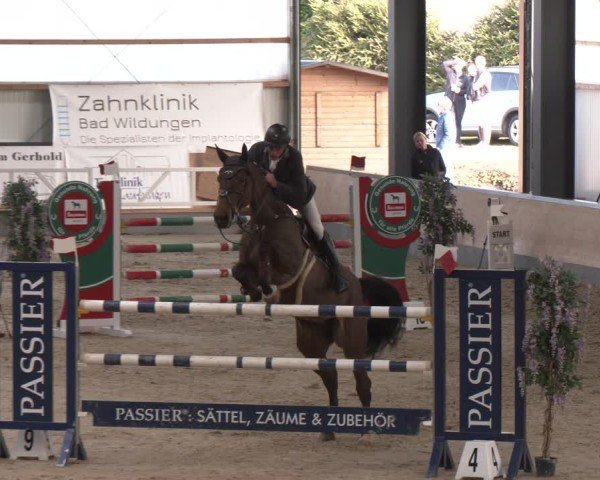 Reitturnier Borken (Hessen) 2025
