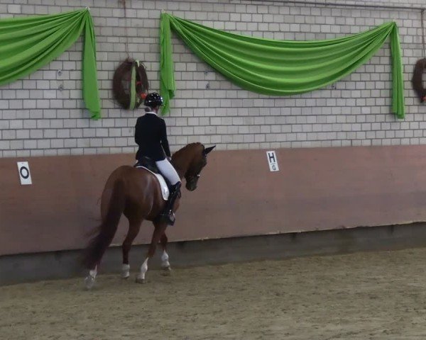 Reitturnier Hellefeld 2025