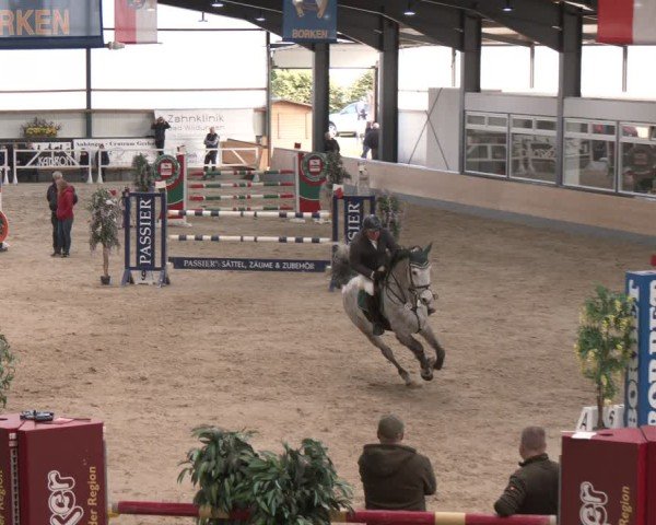 Reitturnier Borken (Hessen) 2025