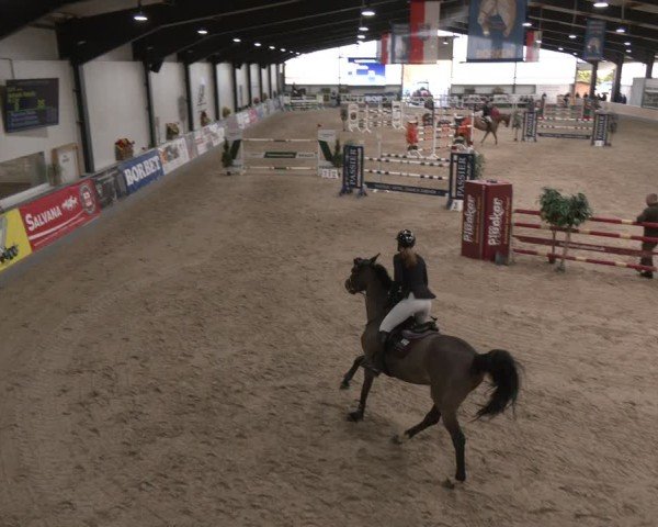 Reitturnier Borken (Hessen) 2025