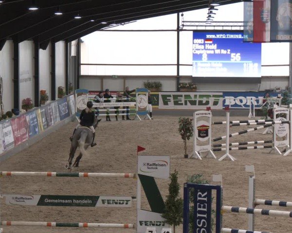 Reitturnier Borken (Hessen) 2025