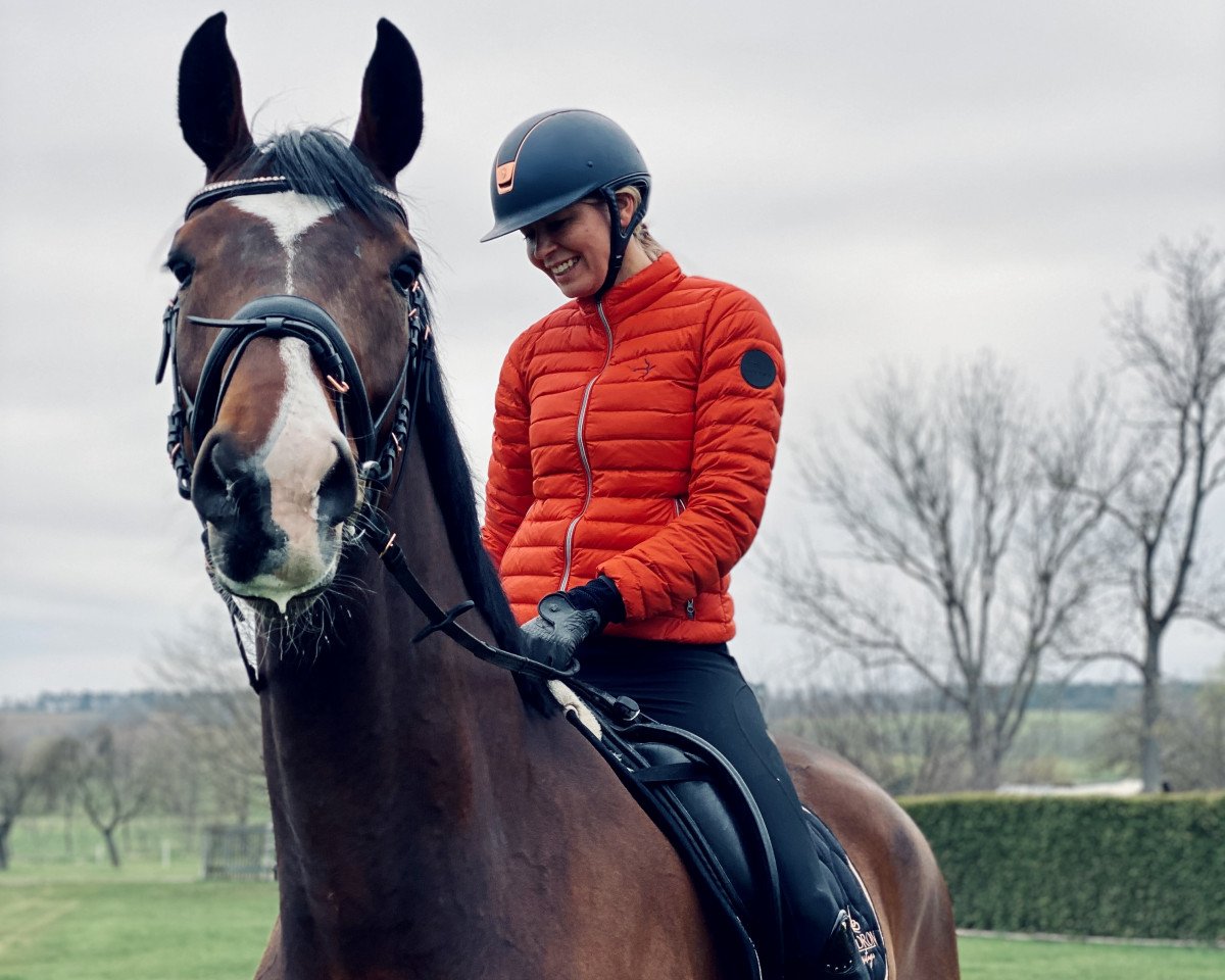 dressage horse Dionys 7 (Hanoverian, 2015, from De Niro)