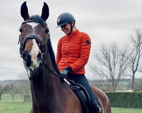 dressage horse Dionys 7 (Hanoverian, 2015, from De Niro)