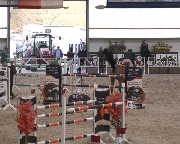Reitturnier Borken (Hessen) 2025