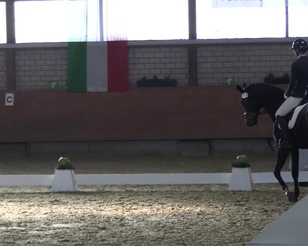 Reitturnier Hellefeld 2025