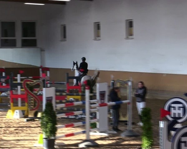 Reitturnier Freudenberg 2025