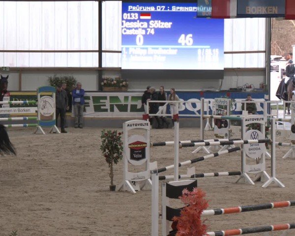 Reitturnier Borken (Hessen) 2025