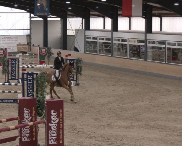 Reitturnier Borken (Hessen) 2025
