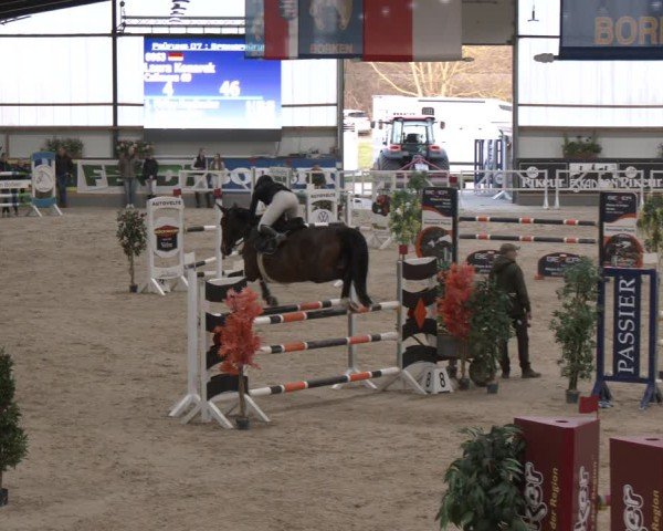 Reitturnier Borken (Hessen) 2025