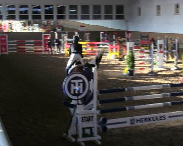 Reitturnier Freudenberg 2025