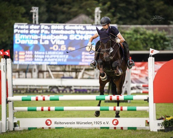 jumper Danza La Vita (Hanoverian, 2011, from Desperados FRH)
