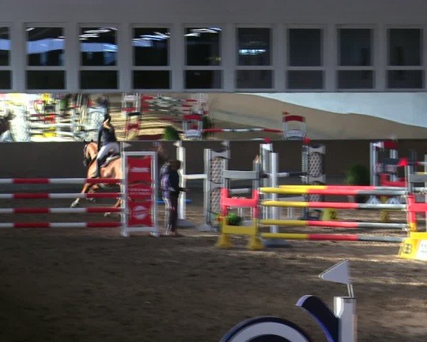 Reitturnier Freudenberg 2025