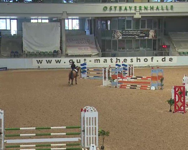 Reitturnier Kreuth 2025