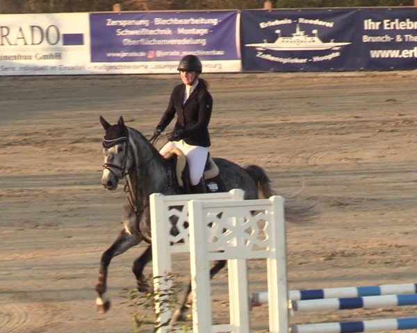 Reitturnier Scharnebeck 2025