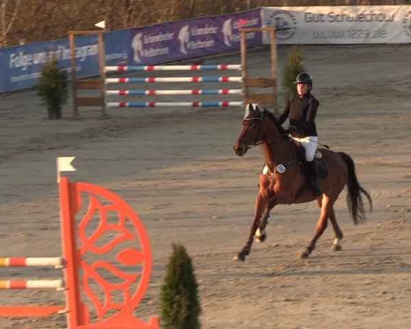 Reitturnier Scharnebeck 2025