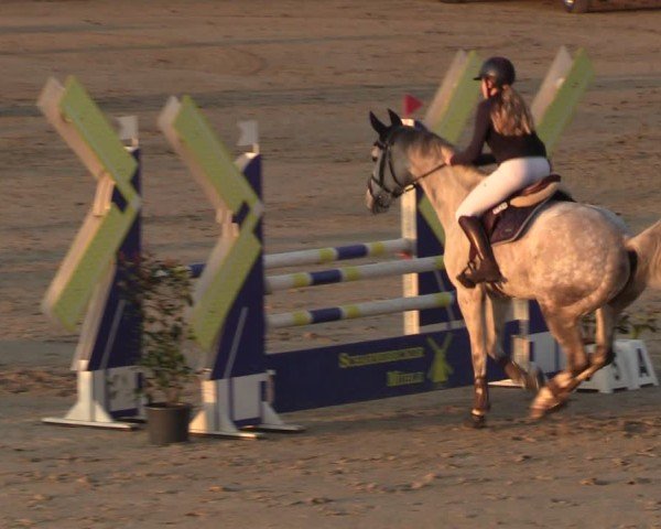 Reitturnier Scharnebeck 2025