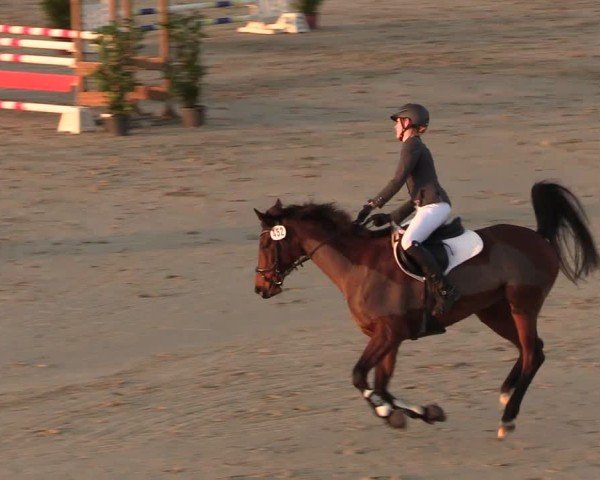 Reitturnier Scharnebeck 2025