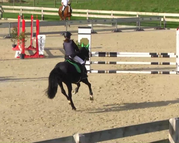 Linkenheim-Hochstetten 2013
