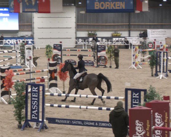 Reitturnier Borken (Hessen) 2025