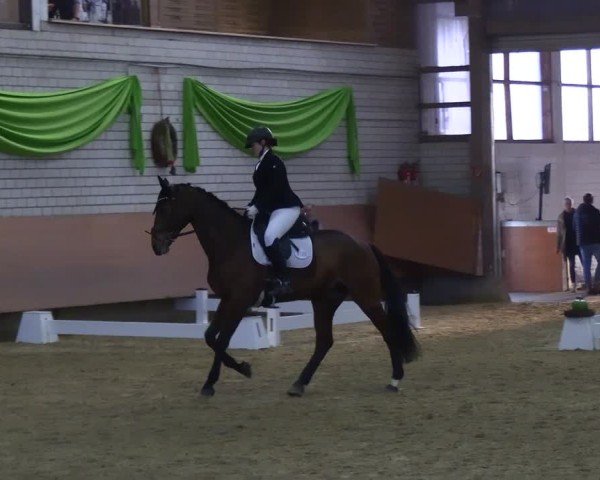 Reitturnier Hellefeld 2025