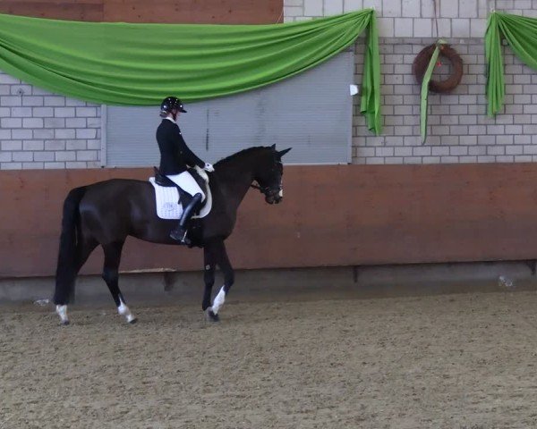 Reitturnier Hellefeld 2025