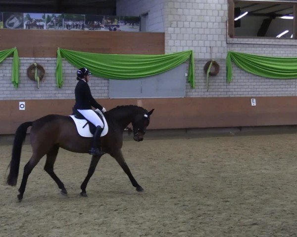 Reitturnier Hellefeld 2025