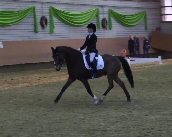 Reitturnier Hellefeld 2025