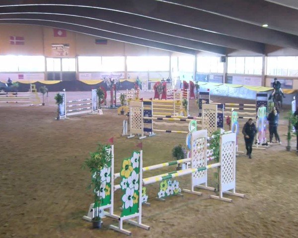 Reitturnier Boll 2025