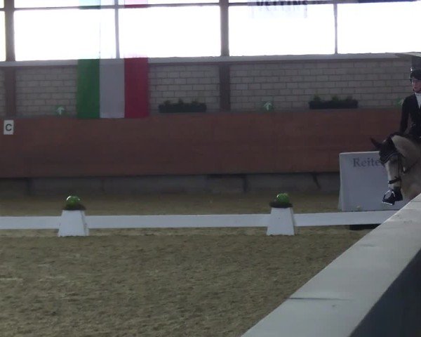 Reitturnier Hellefeld 2025