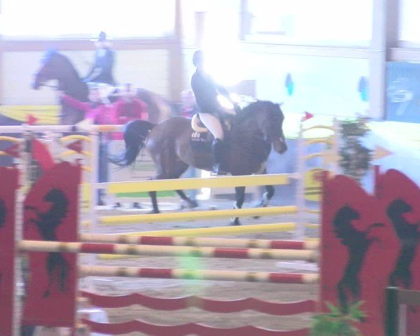 Reitturnier Boll 2025