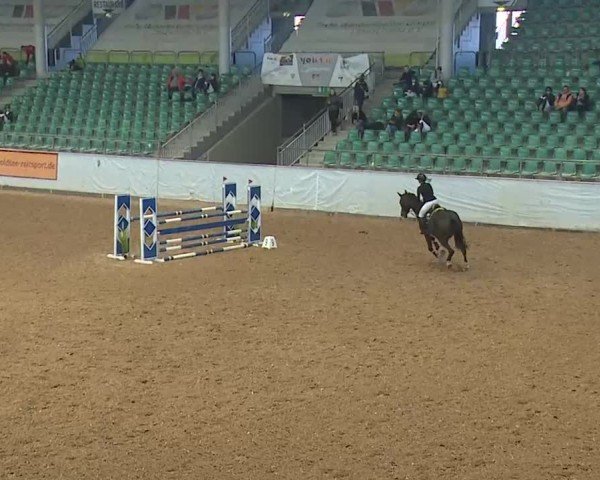 Reitturnier Kreuth 2025