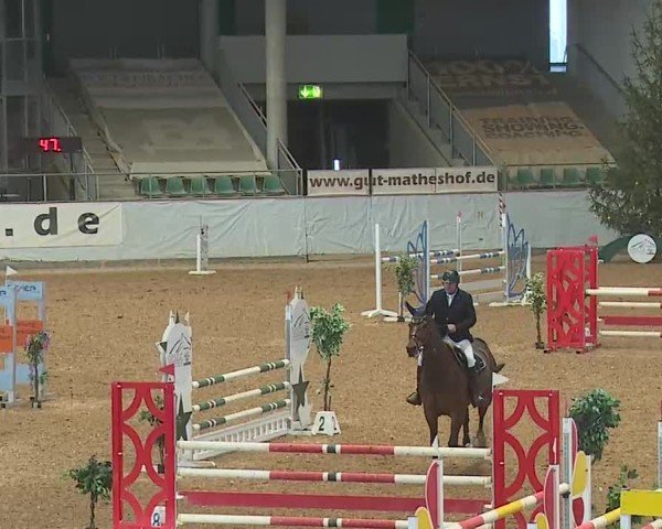 Reitturnier Kreuth 2025