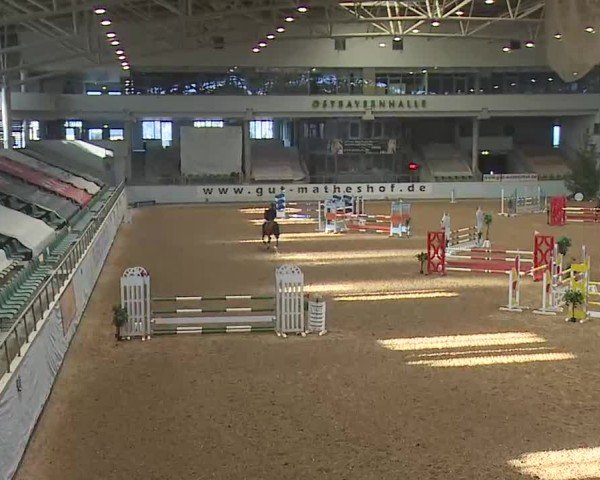 Reitturnier Kreuth 2025