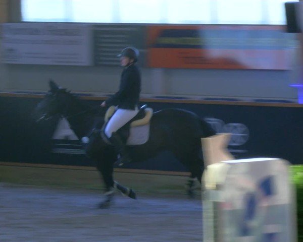 Reitturnier Asperden 2025