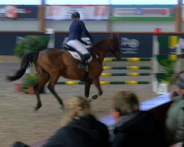 Reitturnier Asperden 2025