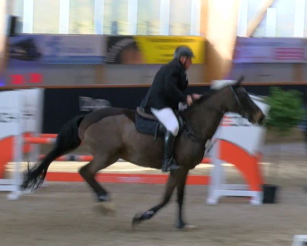 Reitturnier Asperden 2025