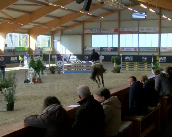 Reitturnier Asperden 2025