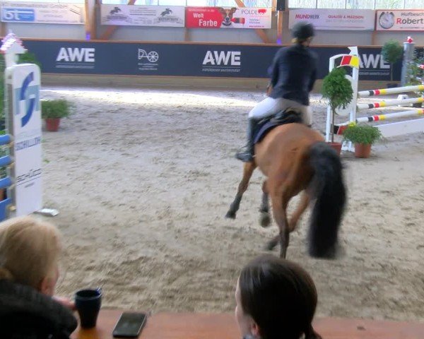 Reitturnier Asperden 2025