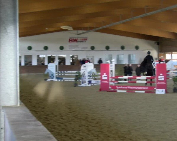 Reitturnier Coesfeld / Lette 2025