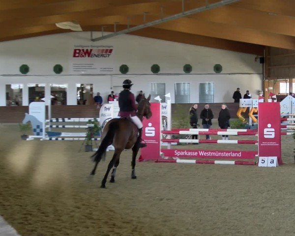 Reitturnier Coesfeld / Lette 2025