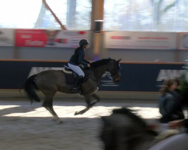 Reitturnier Asperden 2025