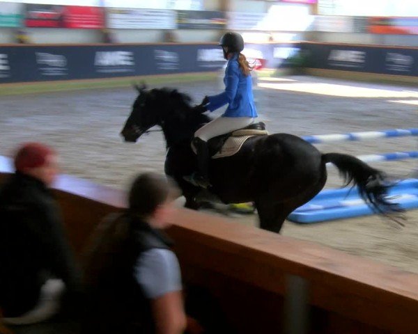 Reitturnier Asperden 2025