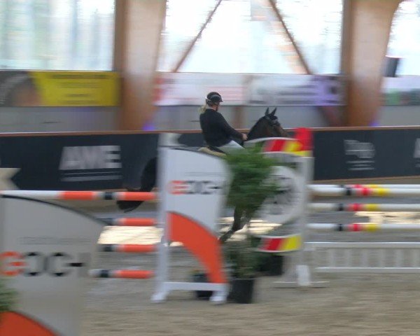 Reitturnier Asperden 2025