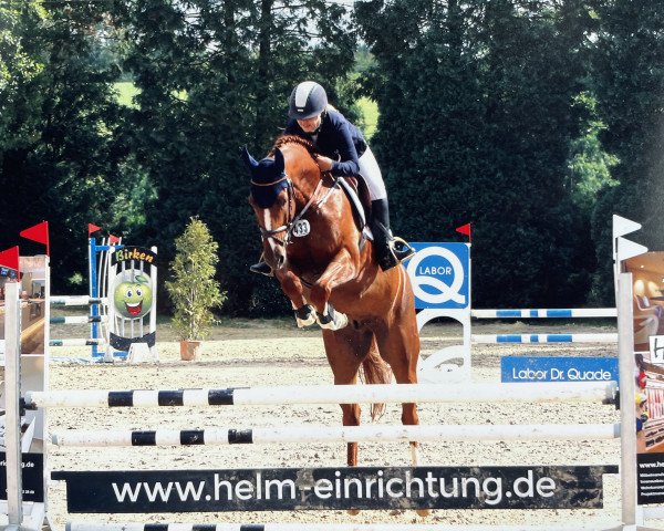 jumper Pinocchio 266 (Rhinelander, 2013, from Prinz Wilhelm)