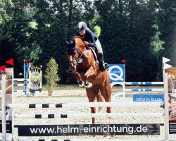 jumper Pinocchio 266 (Rhinelander, 2013, from Prinz Wilhelm)