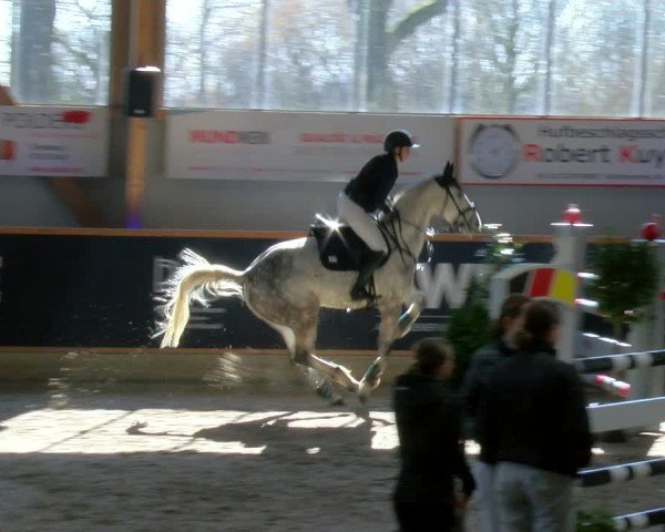 Reitturnier Asperden 2025