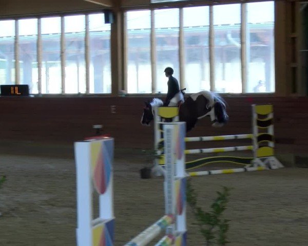 Reitturnier Coesfeld / Lette 2025
