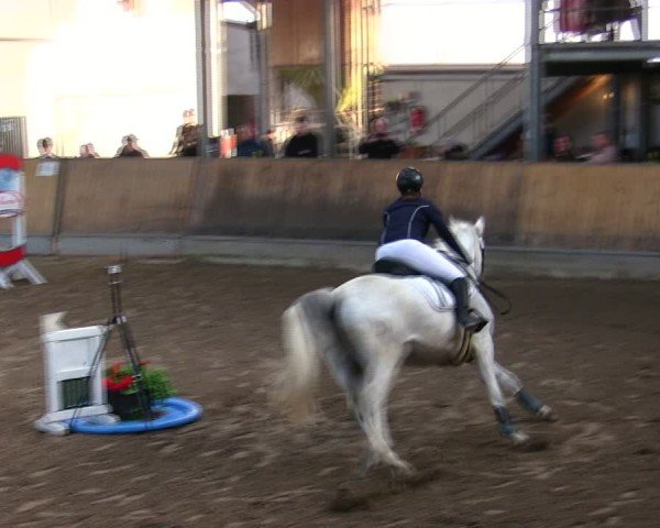 Reitturnier Freudenberg 2025